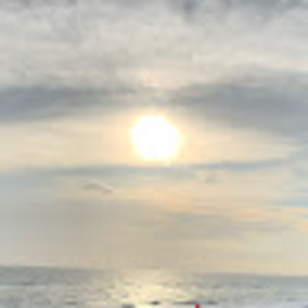 Meet your Posher, Elle